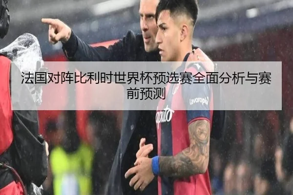 法国对阵比利时世界杯预选赛全面分析与赛前预测